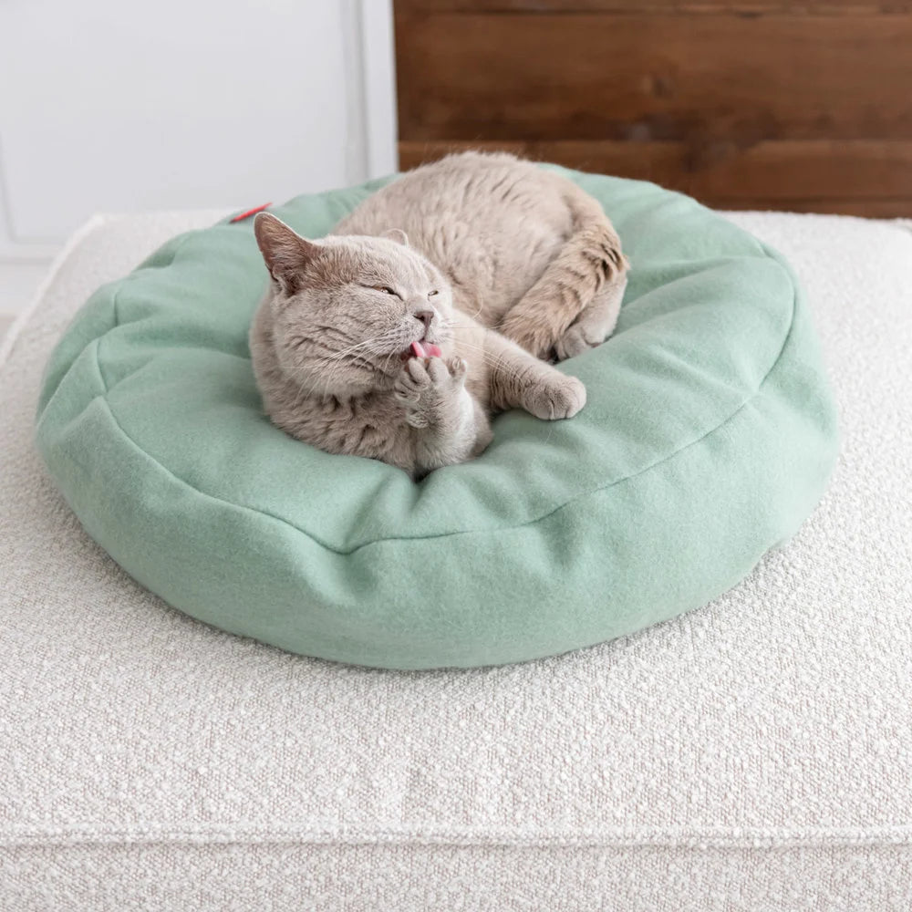 Katteseng i kult design