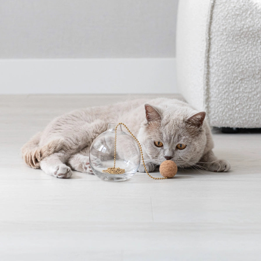 Aktivering for katten din