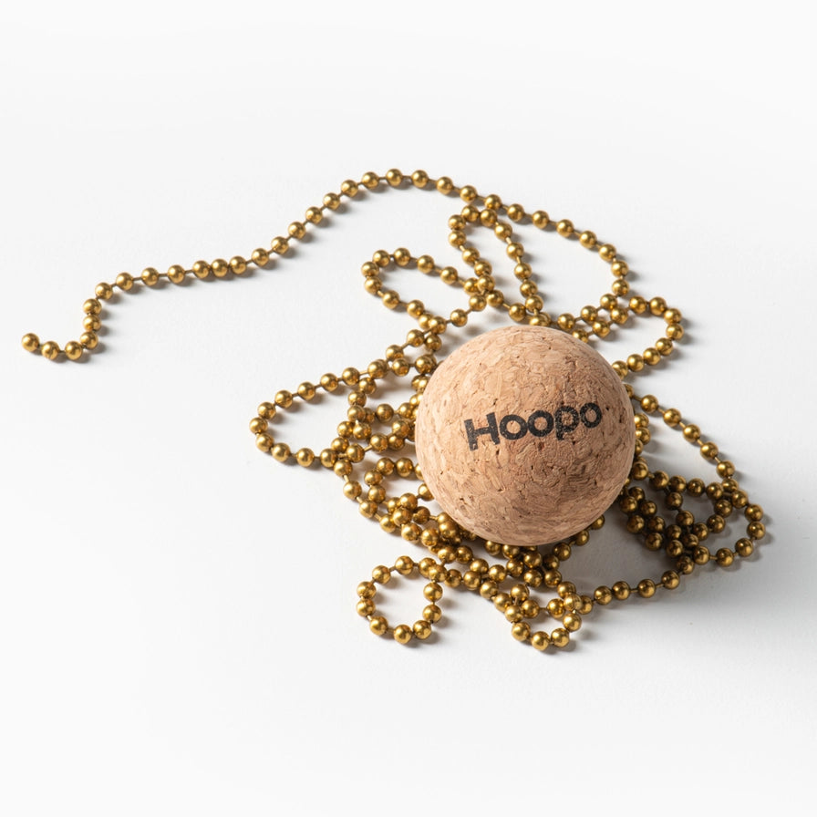 Hoopo