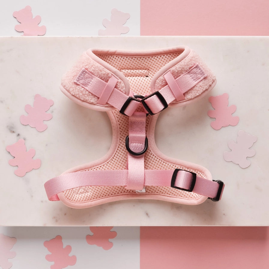 Hundesele i polyester