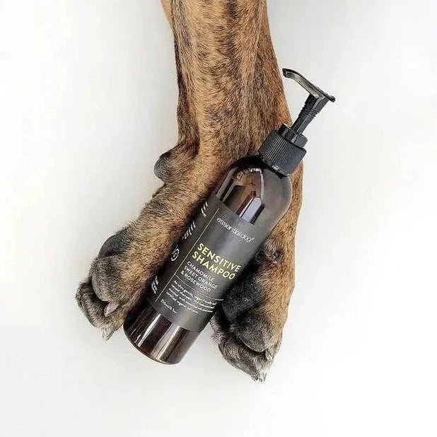 Hundeshampo for sensitiv hud med nydelig duft - Dyrekompaniet