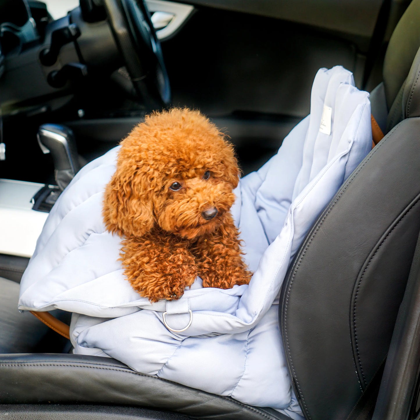 Bilsete til hund - lys blå - Dyrekompaniet