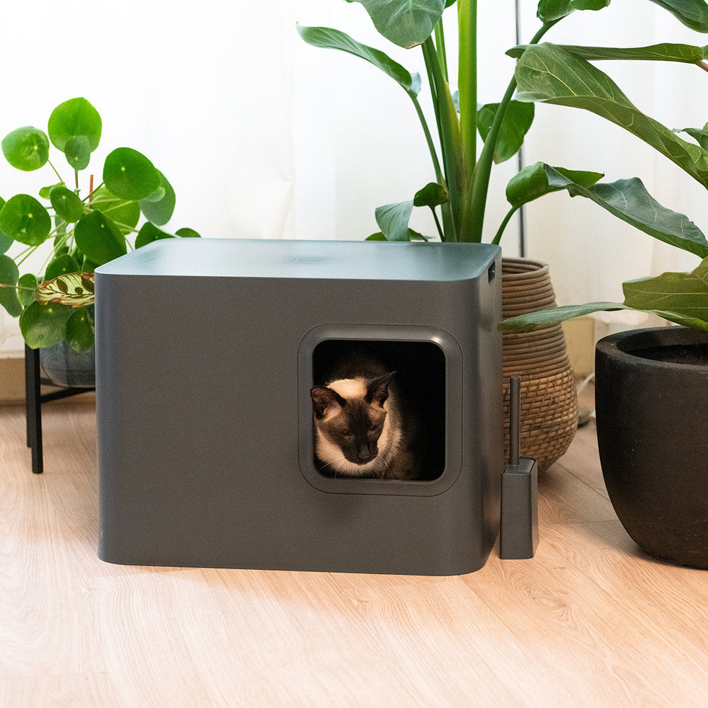 Lekkert design på kattedoen - Dyrekompaniet