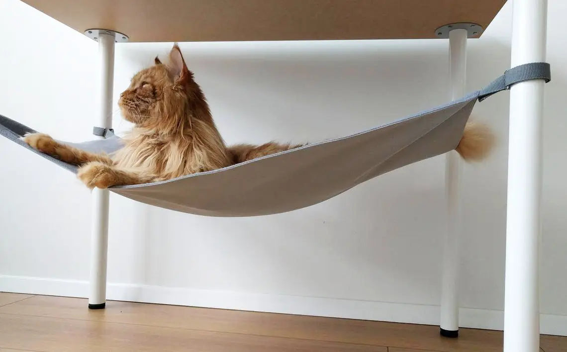 hengekøye katt - Dyrekompaniet
