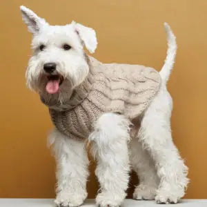 Ribbestrikket hundegenser 100% ull - Beige - Dyrekompaniet