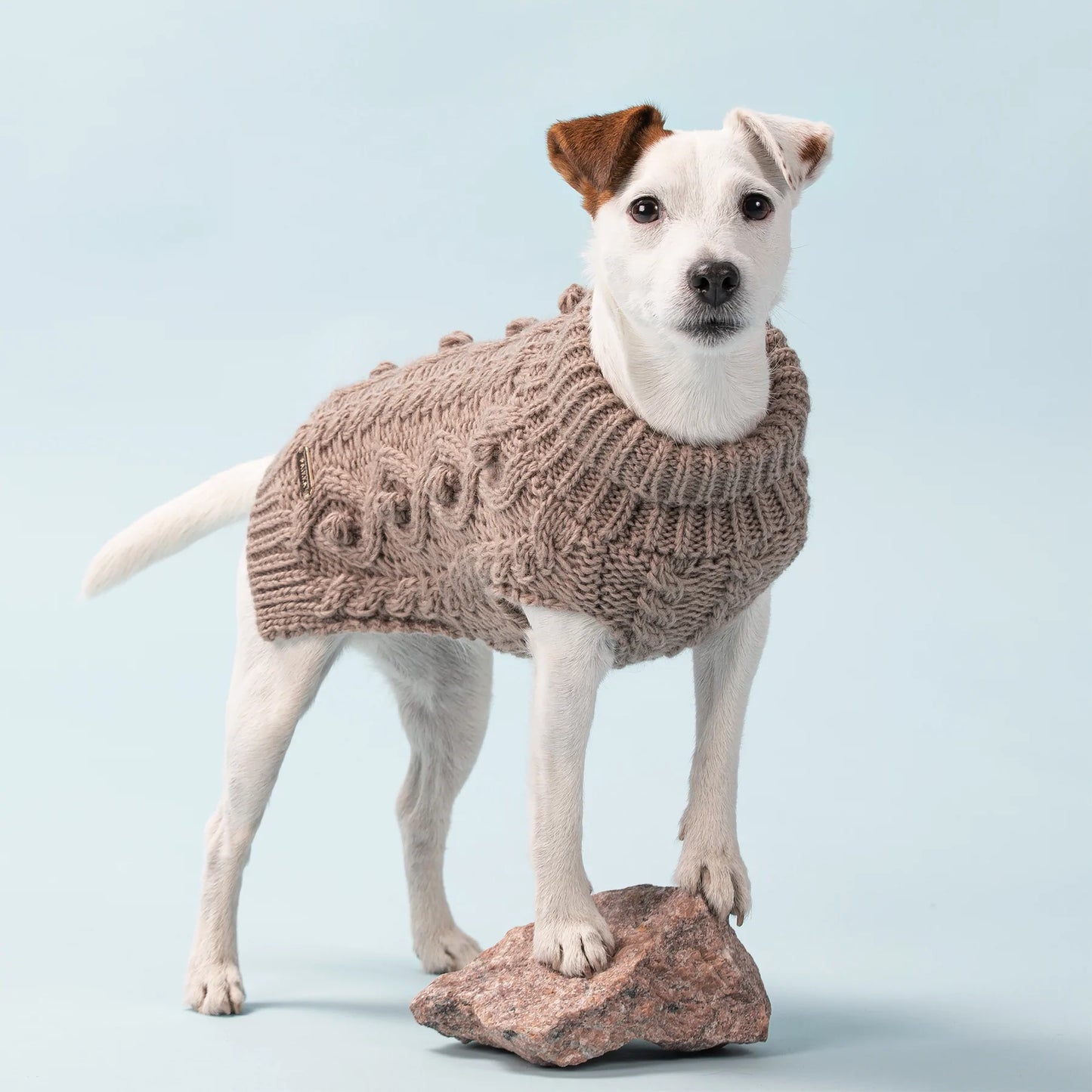 Strikket hundegenser i ull - lysebrun - Dyrekompaniet