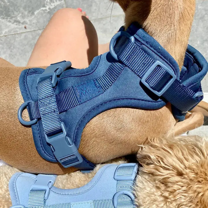Sele til hund - mørk blå - Dyrekompaniet