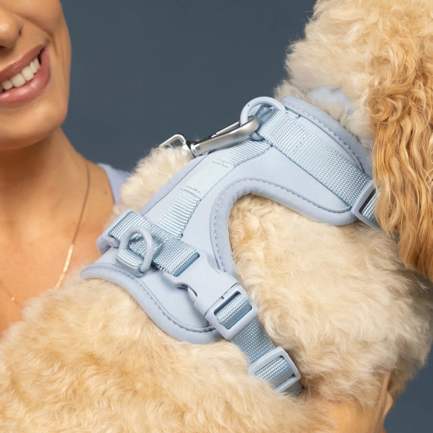 Sele til hund - brun - Dyrekompaniet
