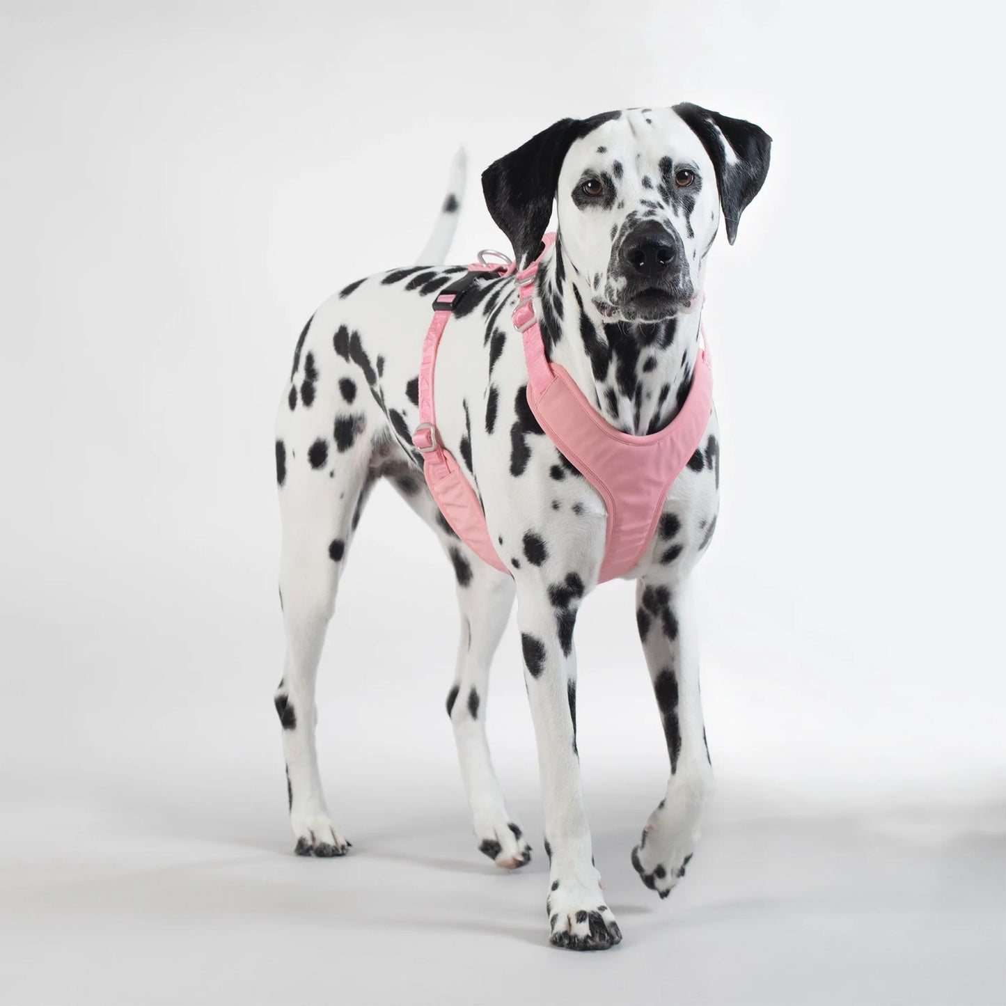 Reflekterende sele til hund - rosa - Dyrekompaniet
