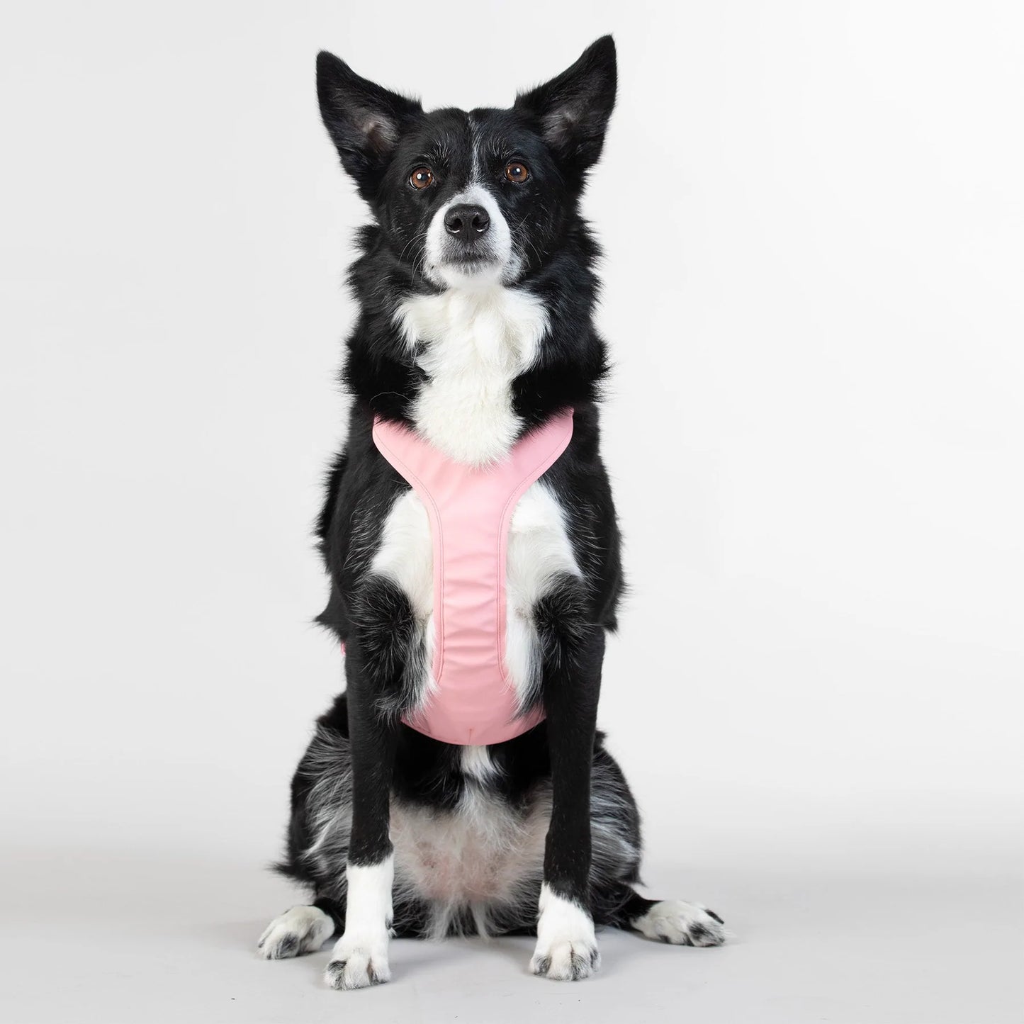 Reflekterende sele til hund - rosa - Dyrekompaniet