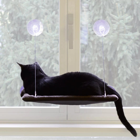 Solid katteseng til vindu med leke - Dyrekompaniet