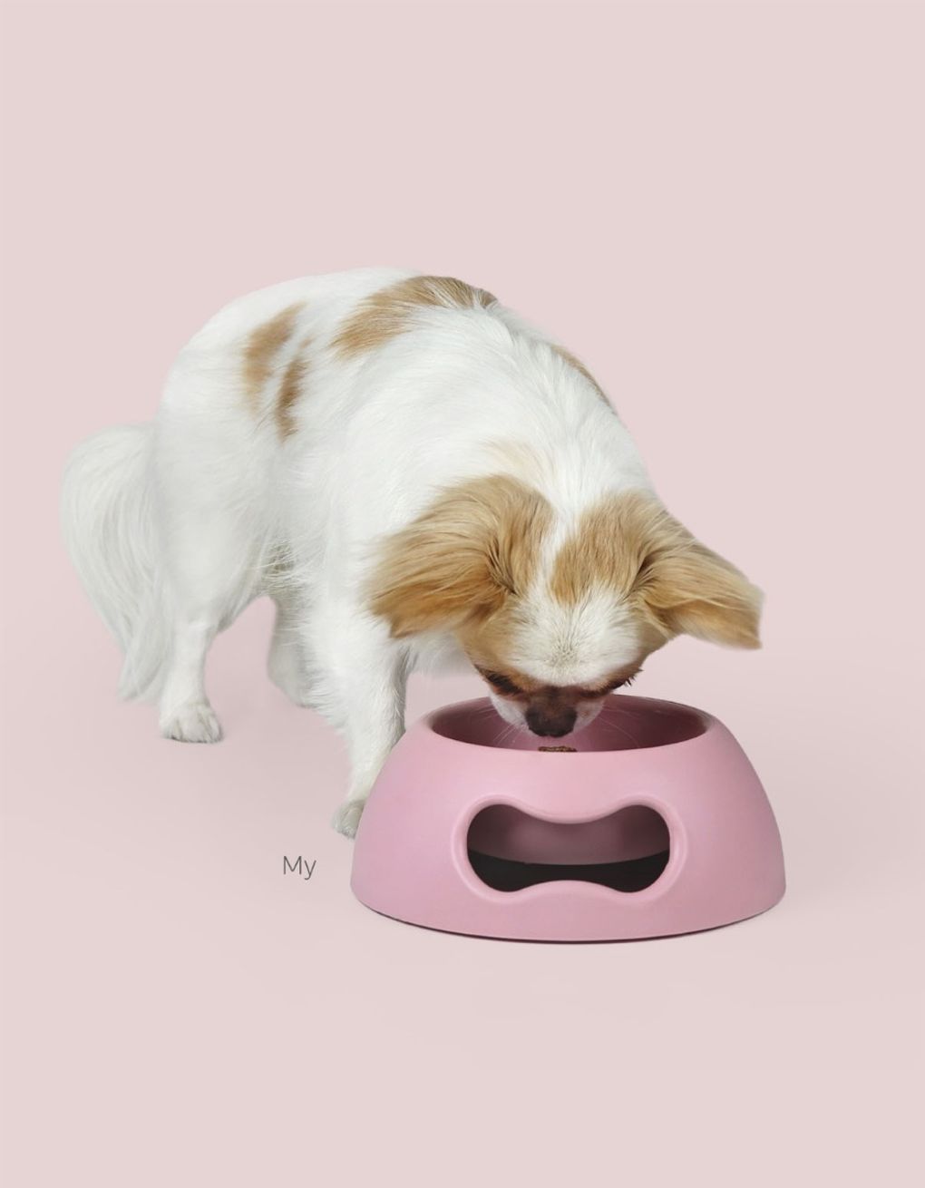 Liten matskål til hund og katt - svart - Dyrekompaniet