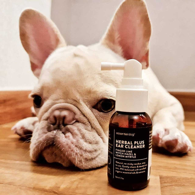ørerens til hund - Dyrekompaniet