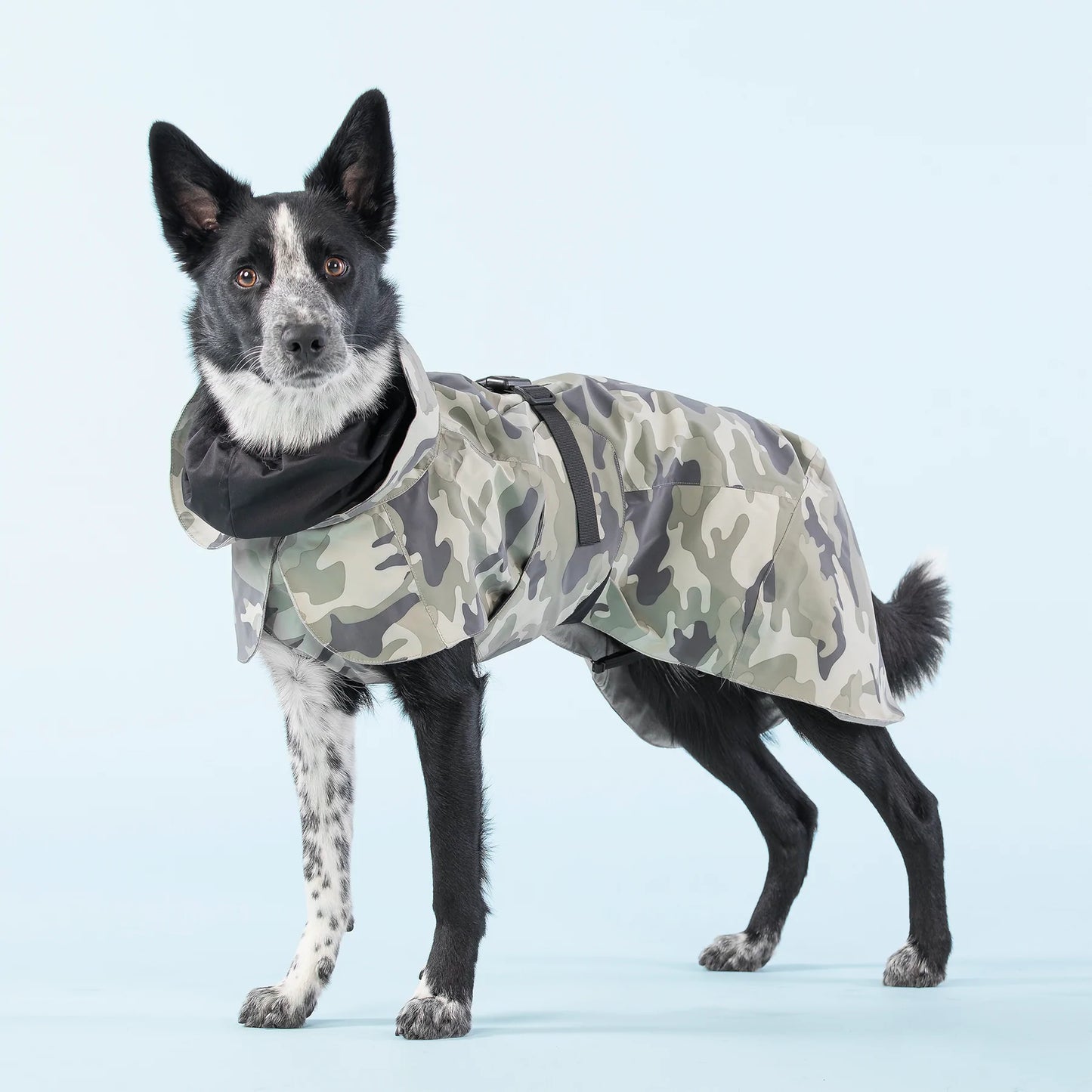 Varmende, reflekterende regndekken til hund - Kamuflasje - Dyrekompaniet