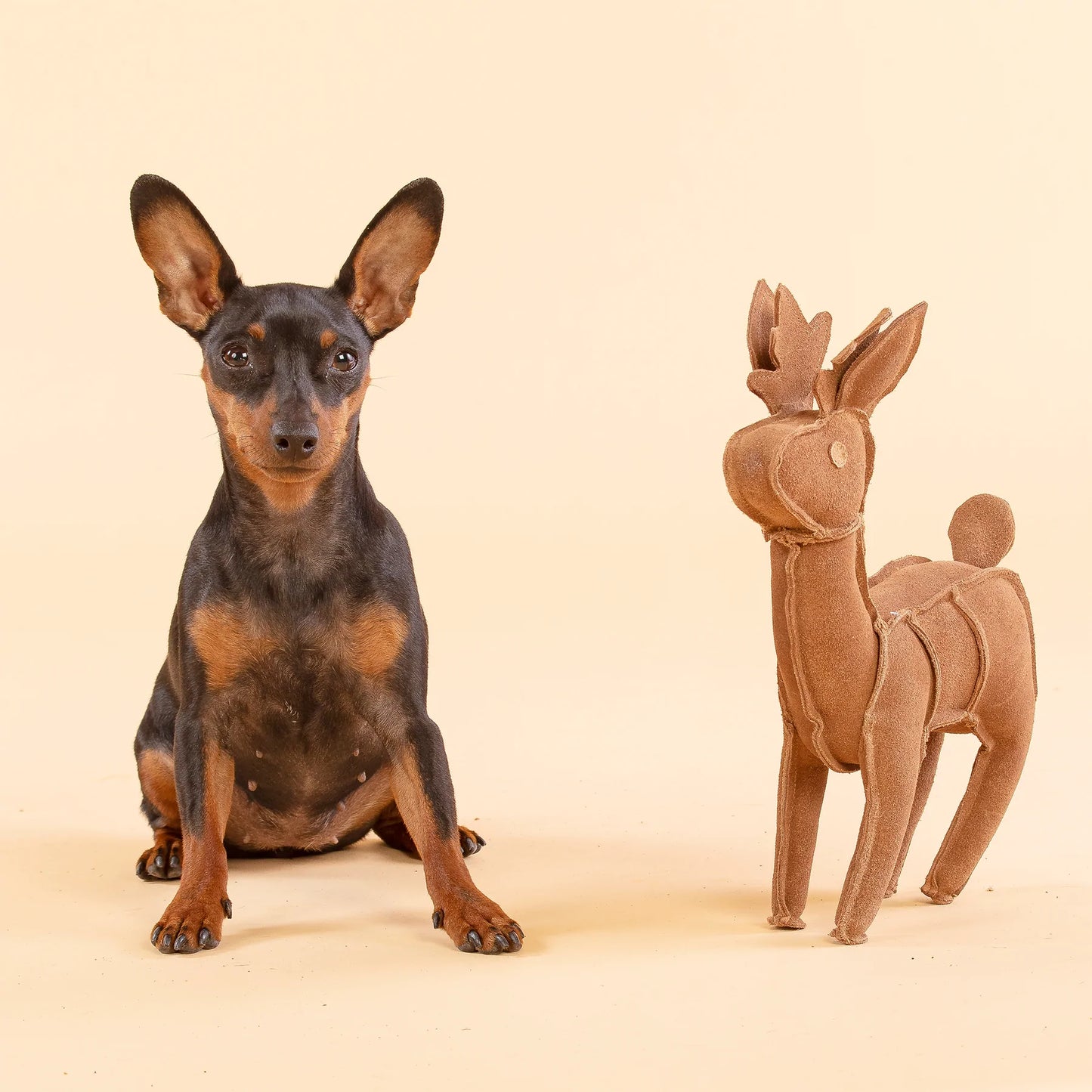 Reinsdyr bamse til hund - Dyrekompaniet