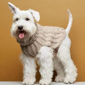 Ribbestrikket hundegenser 100% ull - Beige - Dyrekompaniet