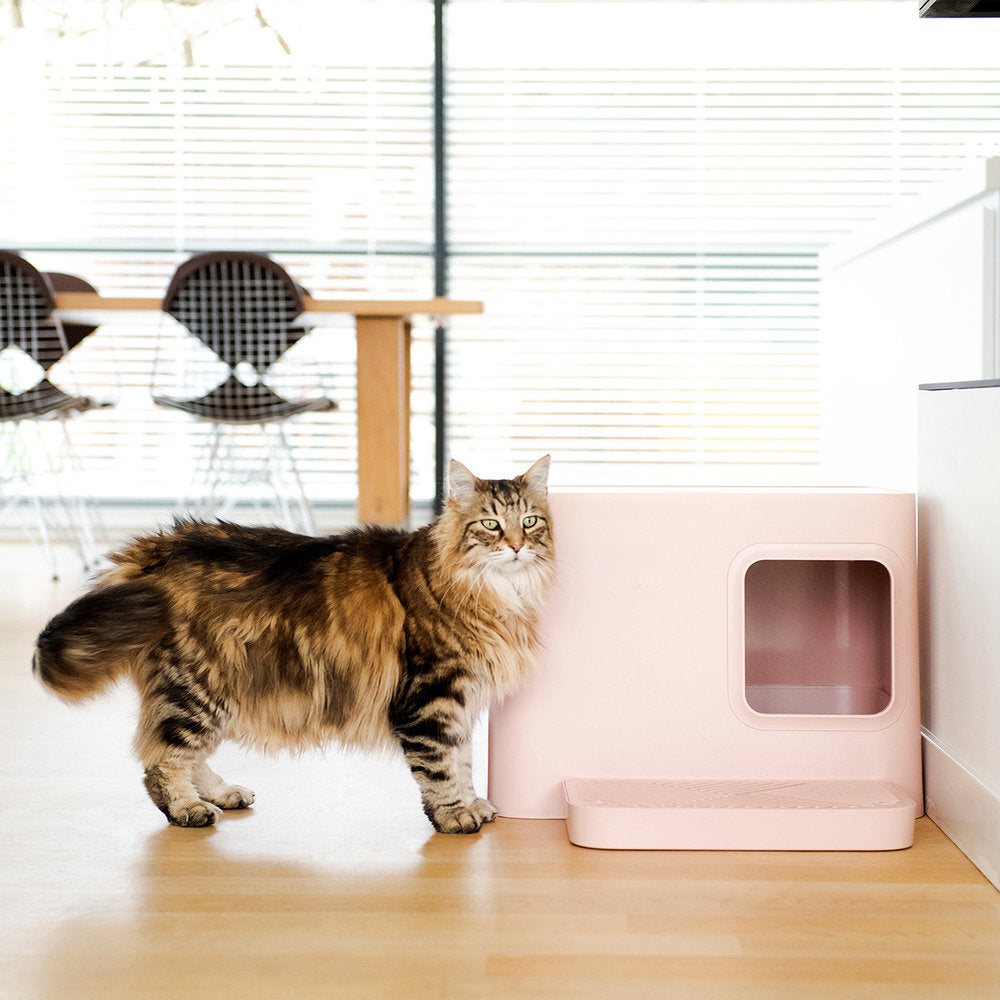 Kattetoalett for store katter - Dyrekompaniet
