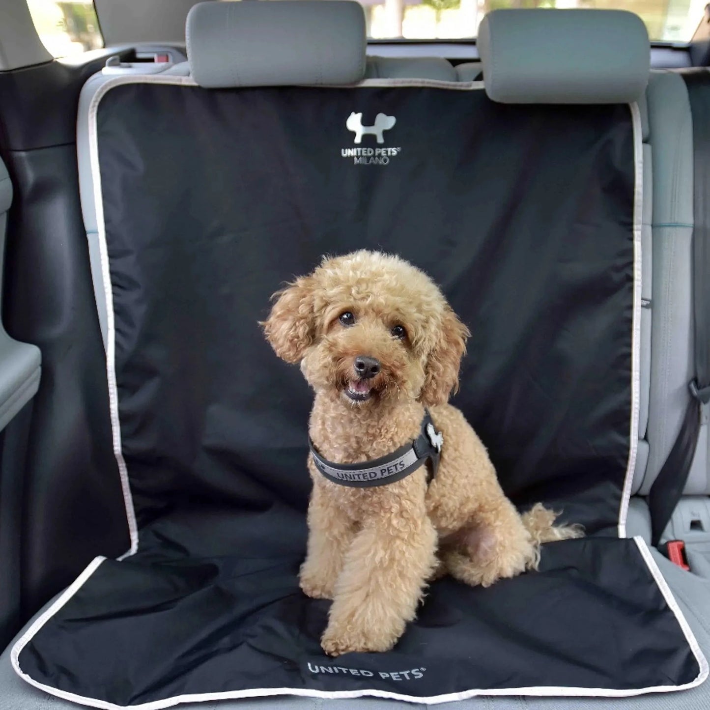 Bilsetebeskytter for hund til bilen - Dyrekompaniet