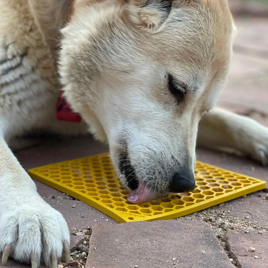 Slikkematte for hund og katt