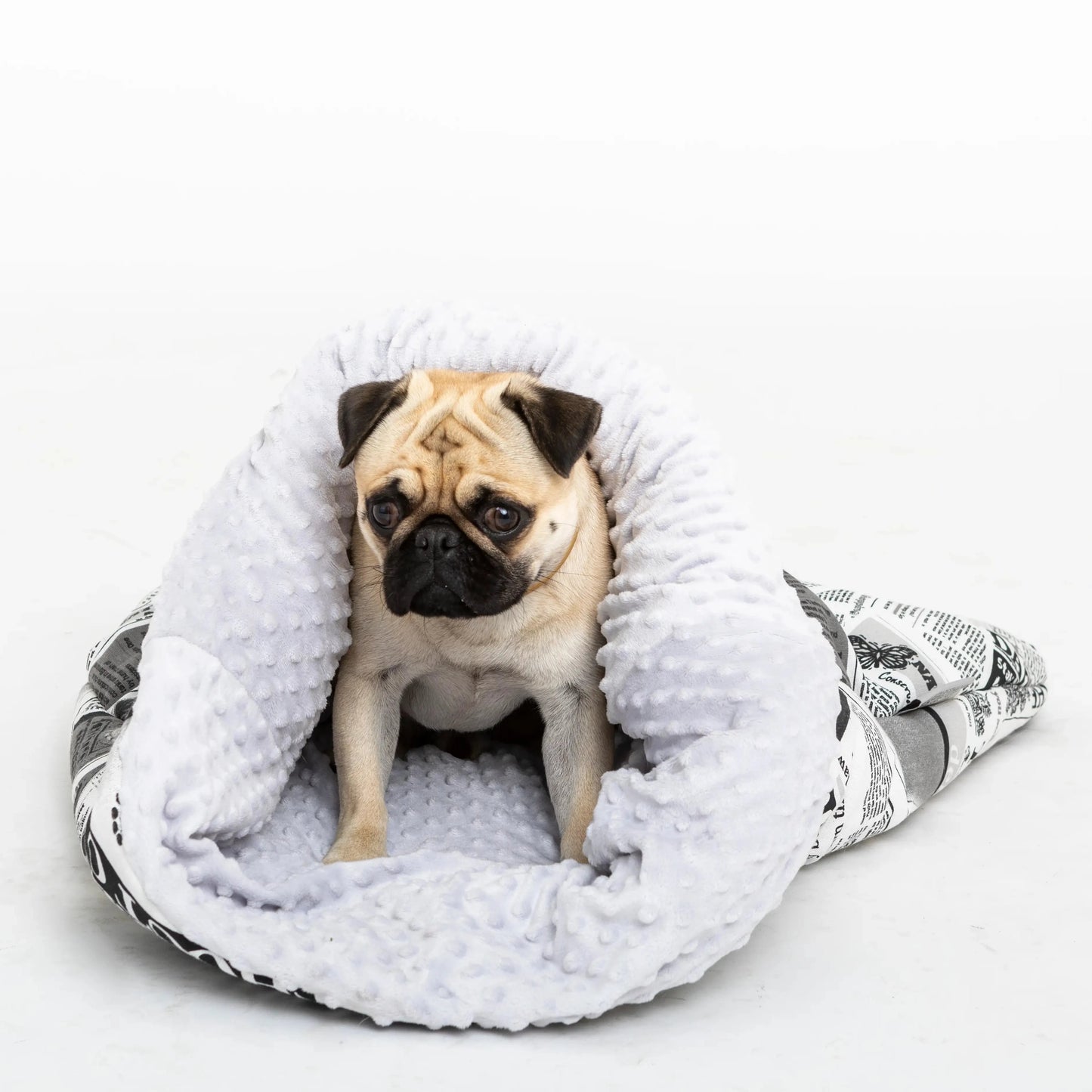 sovepose hund - Dyrekompaniet