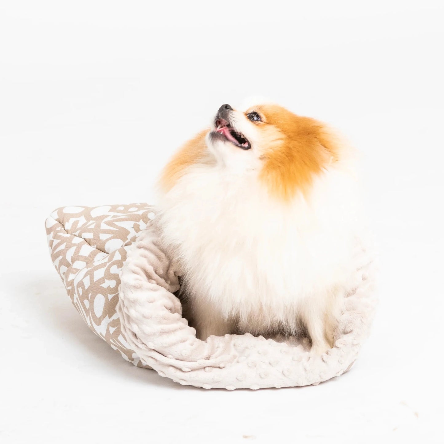 sovepose hund - Dyrekompaniet