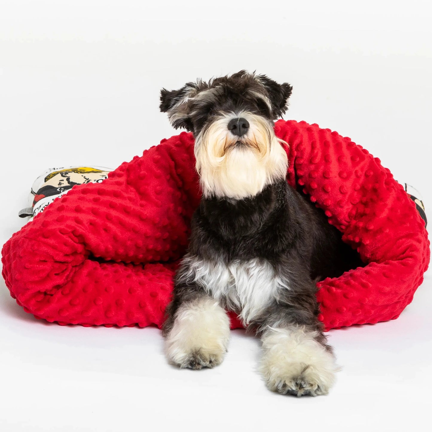 sovepose hund - Dyrekompaniet