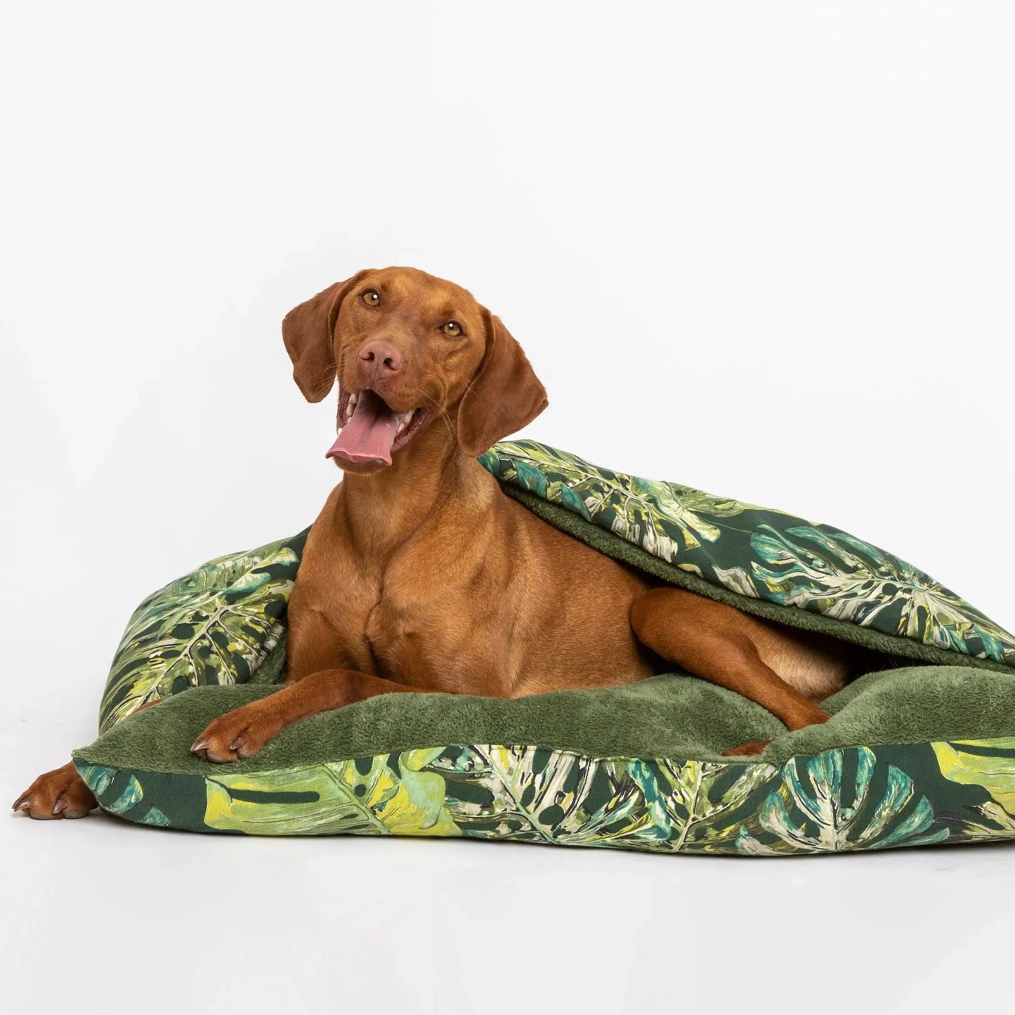 sovepose hund - Dyrekompaniet