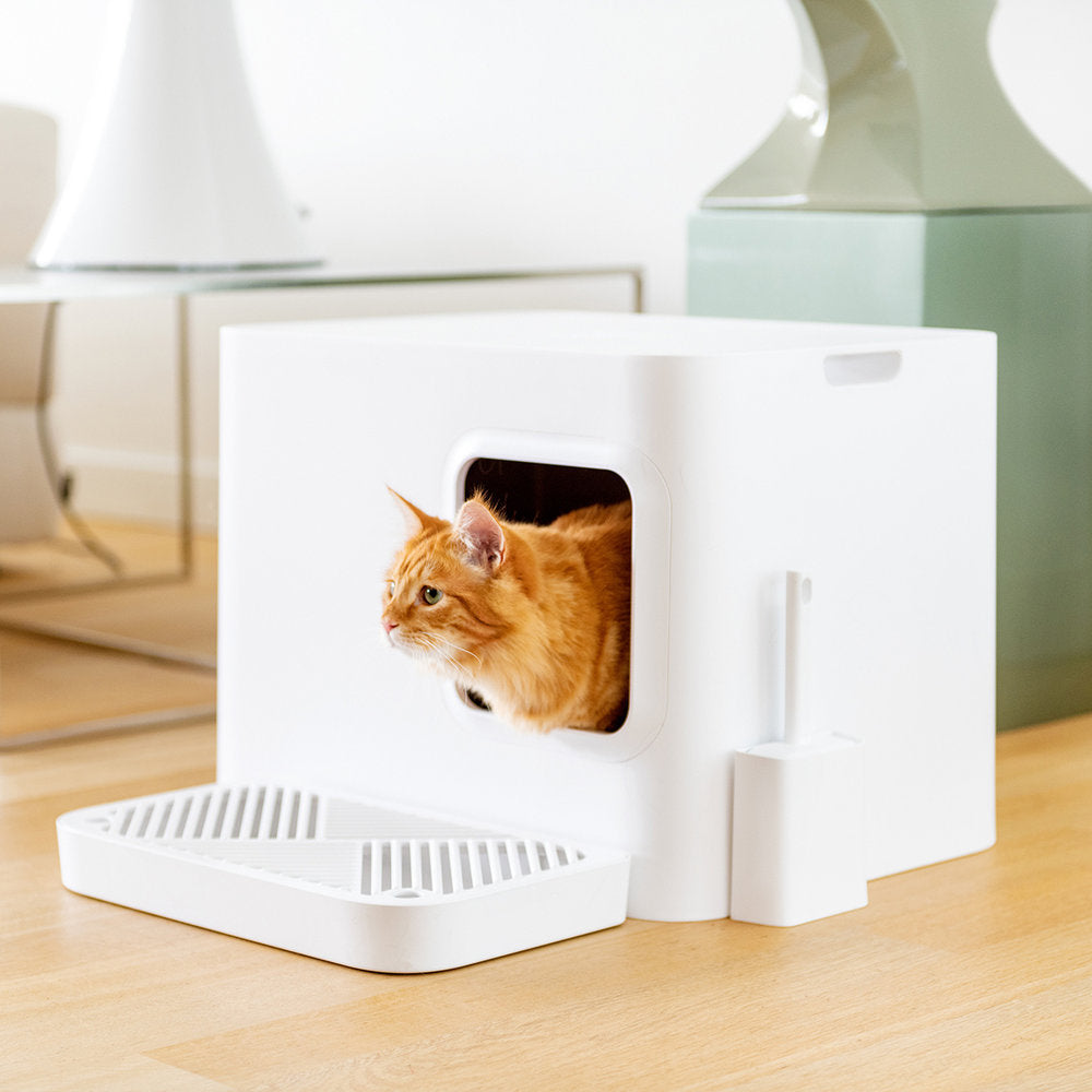 Passer også til store katter - Dyrekompaniet