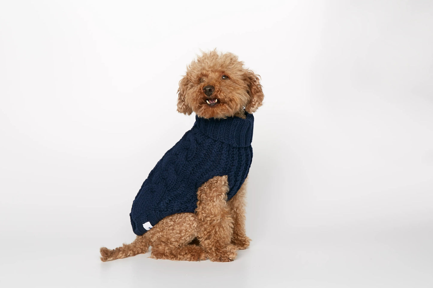 Strikket hundegenser 100% ull - mørk blå - Dyrekompaniet