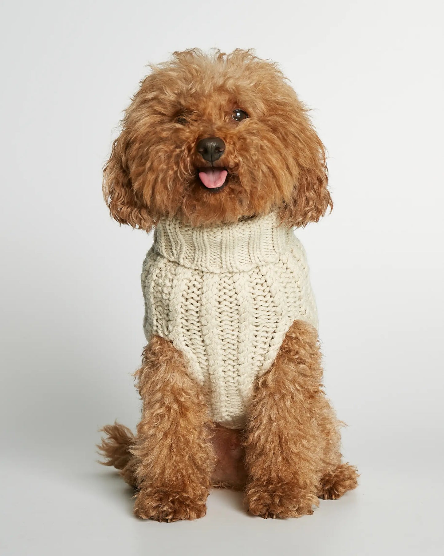 Strikket hundegenser 100% ull - offwhite - Dyrekompaniet