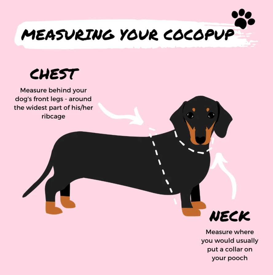 Mål hunden din rundt bryst og hals for å finne riktig størrelse 