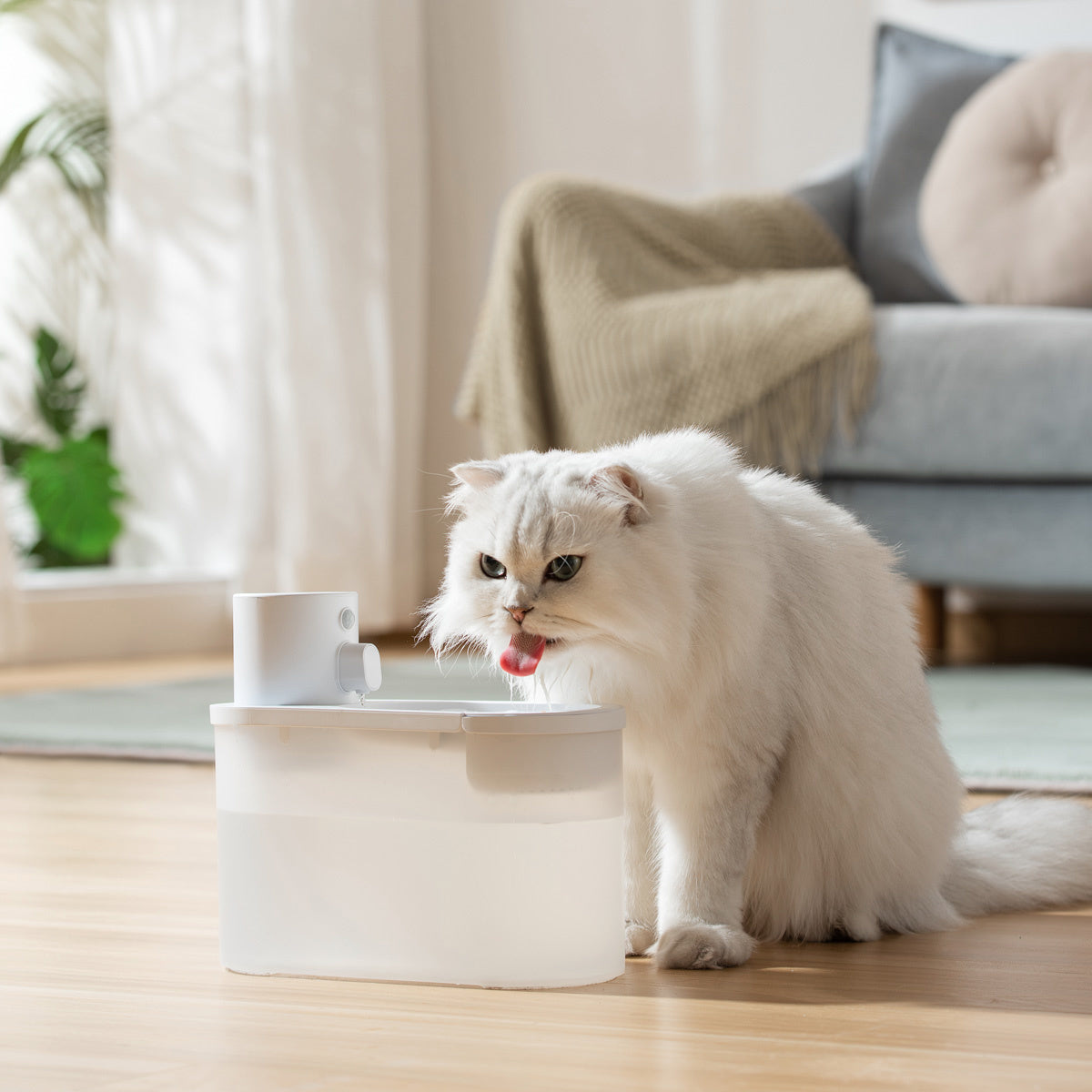 Drikkefontene trådløs - vannfontene til katt og hund