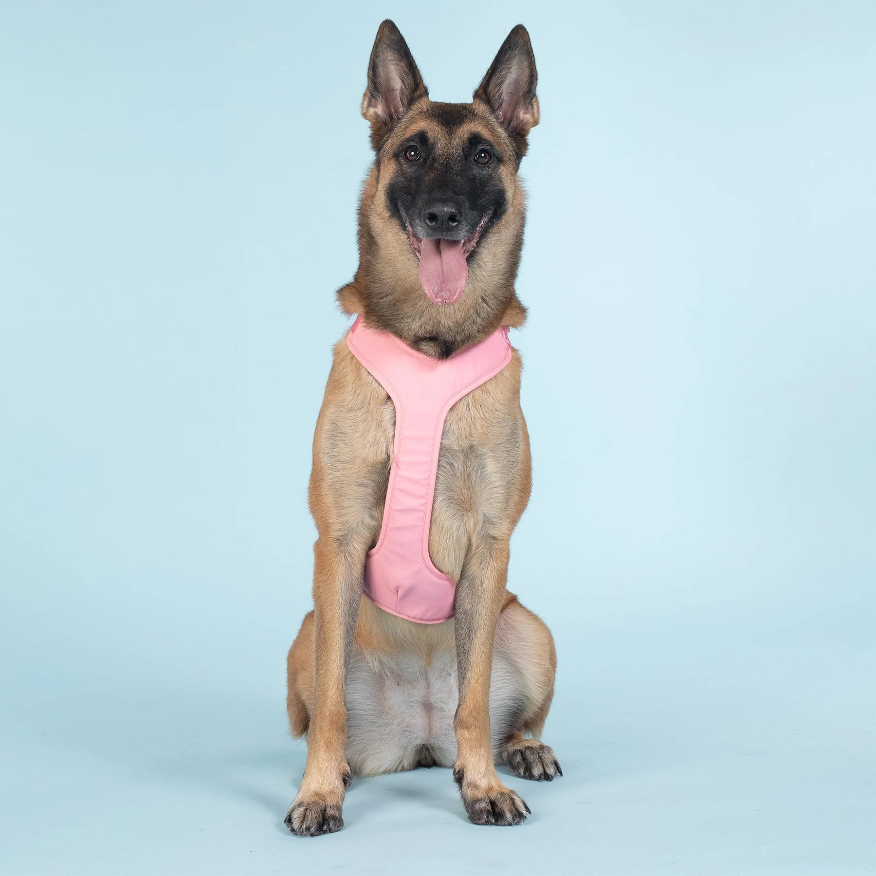 Reflekterende sele til hund  - rosa - Dyrekompaniet