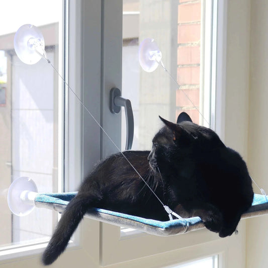 Solid katteseng til vindu med leke - Dyrekompaniet