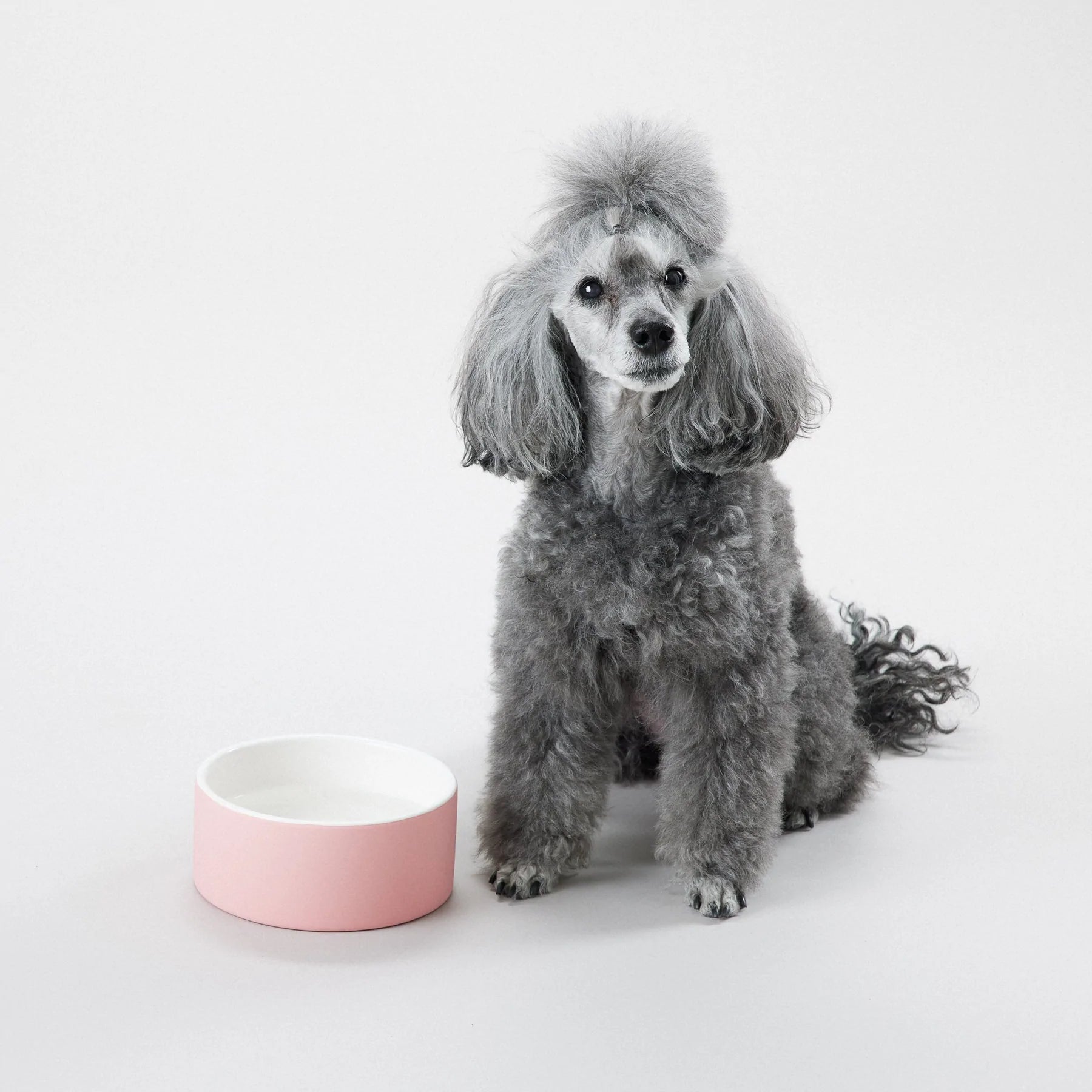 Kjølende matskål til hund og katt 0,8 L - rosa - Dyrekompaniet