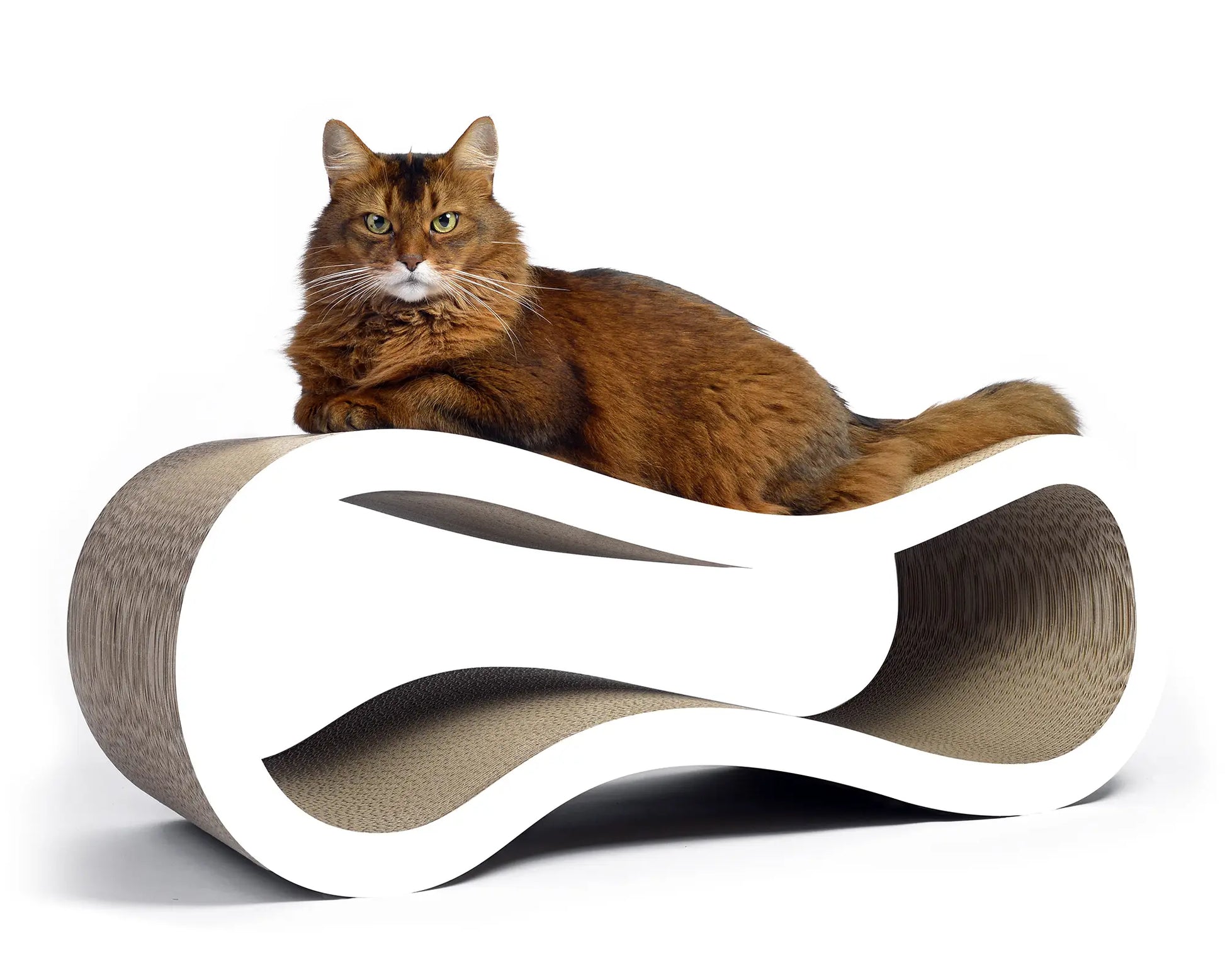 Stort kloremøbel til katt design buen - Dyrekompaniet