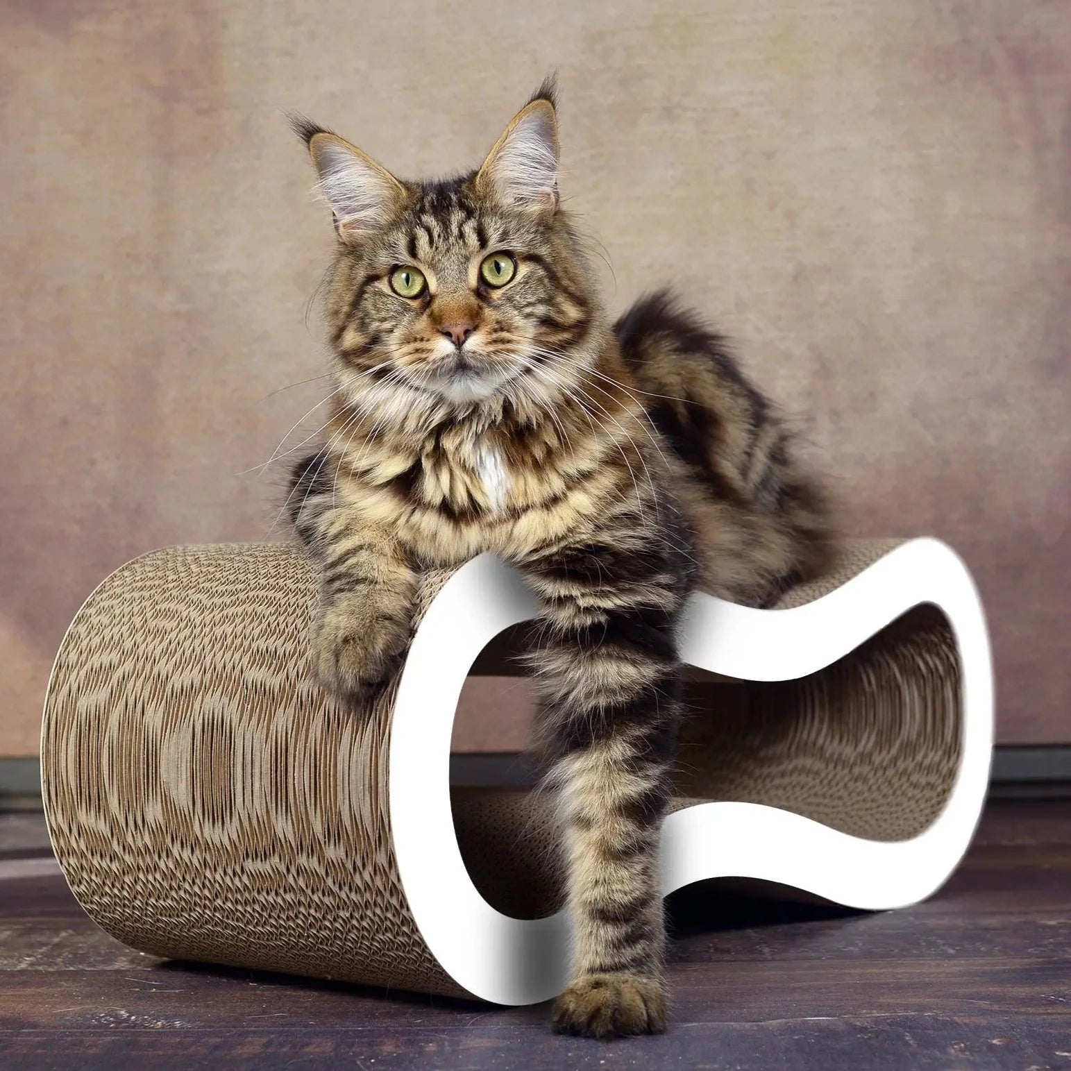 Kloremøbel til katt design buen - Dyrekompaniet
