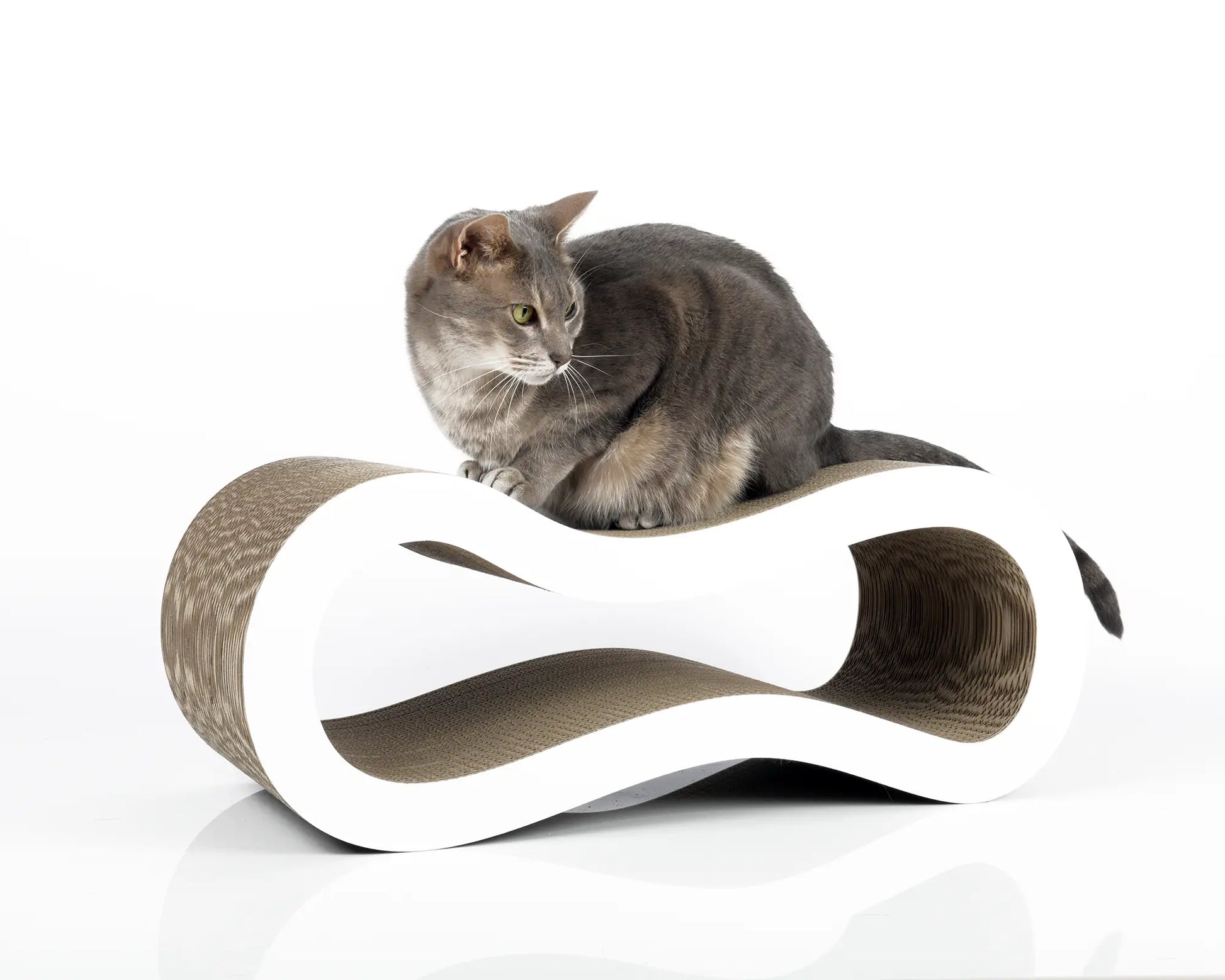 Kloremøbel til katt design buen - Dyrekompaniet