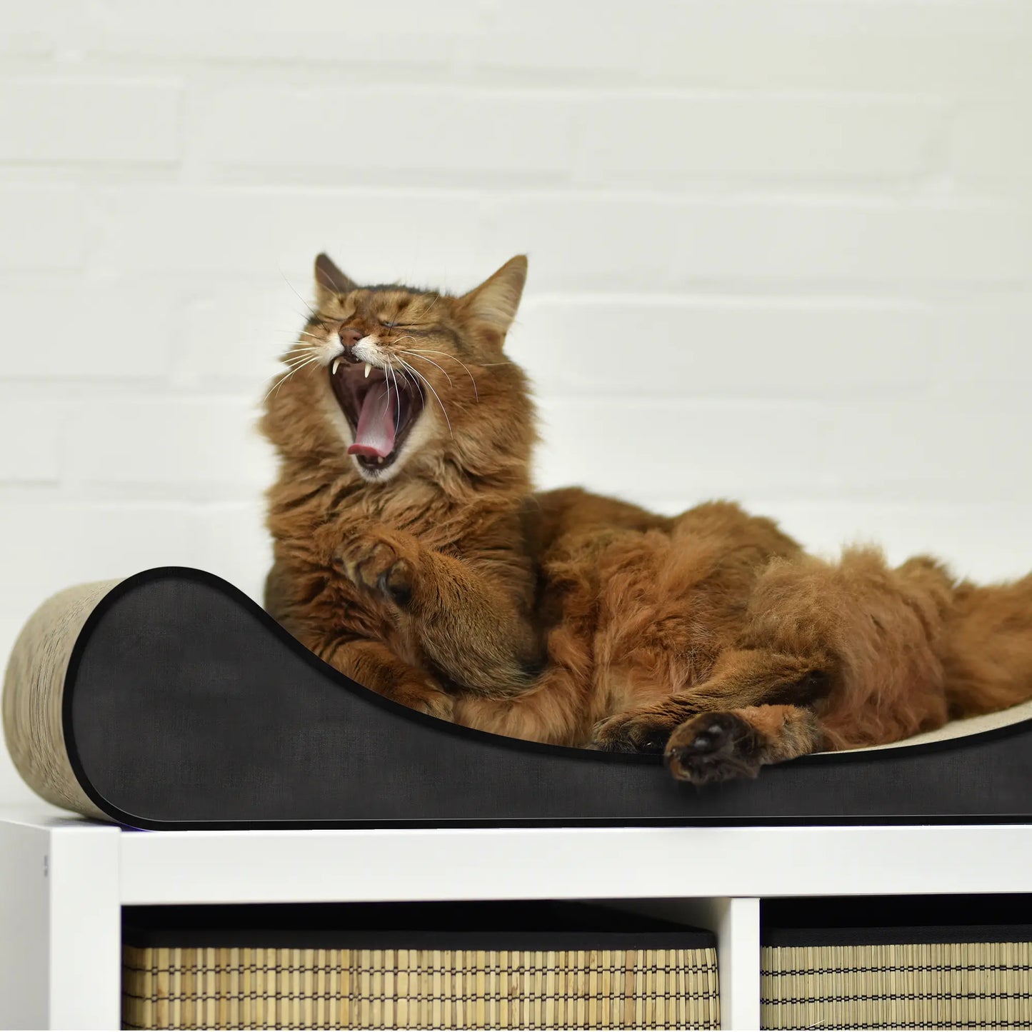 Kloremøbel til katt luksus divan - Dyrekompaniet