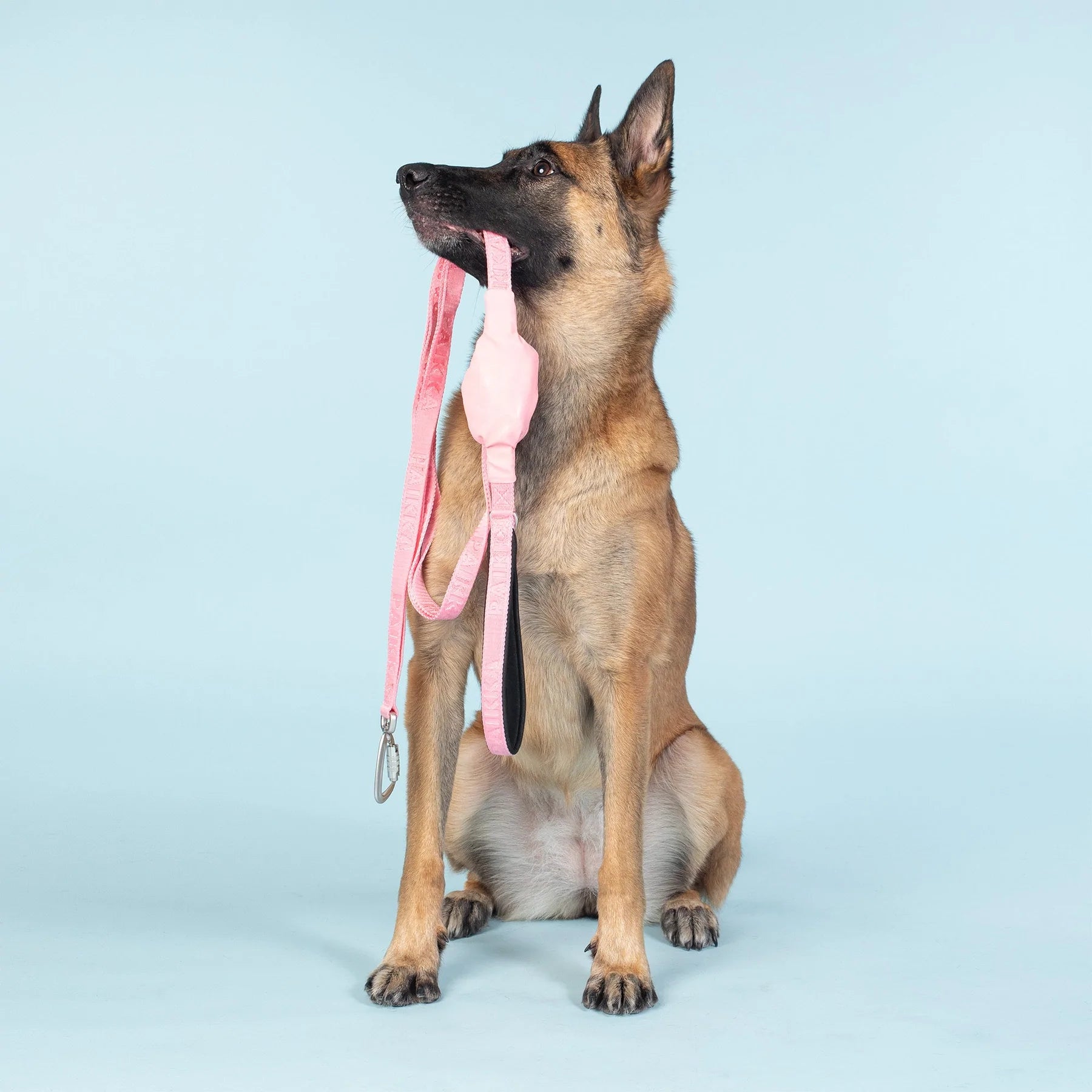 Hundebånd med reflekterende hundeposeholder - rosa - Dyrekompaniet