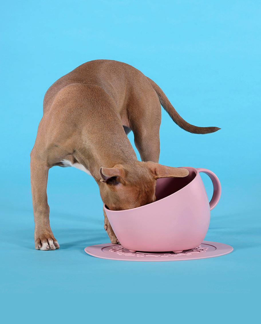 Kopp og skål til hund - rosa - Dyrekompaniet