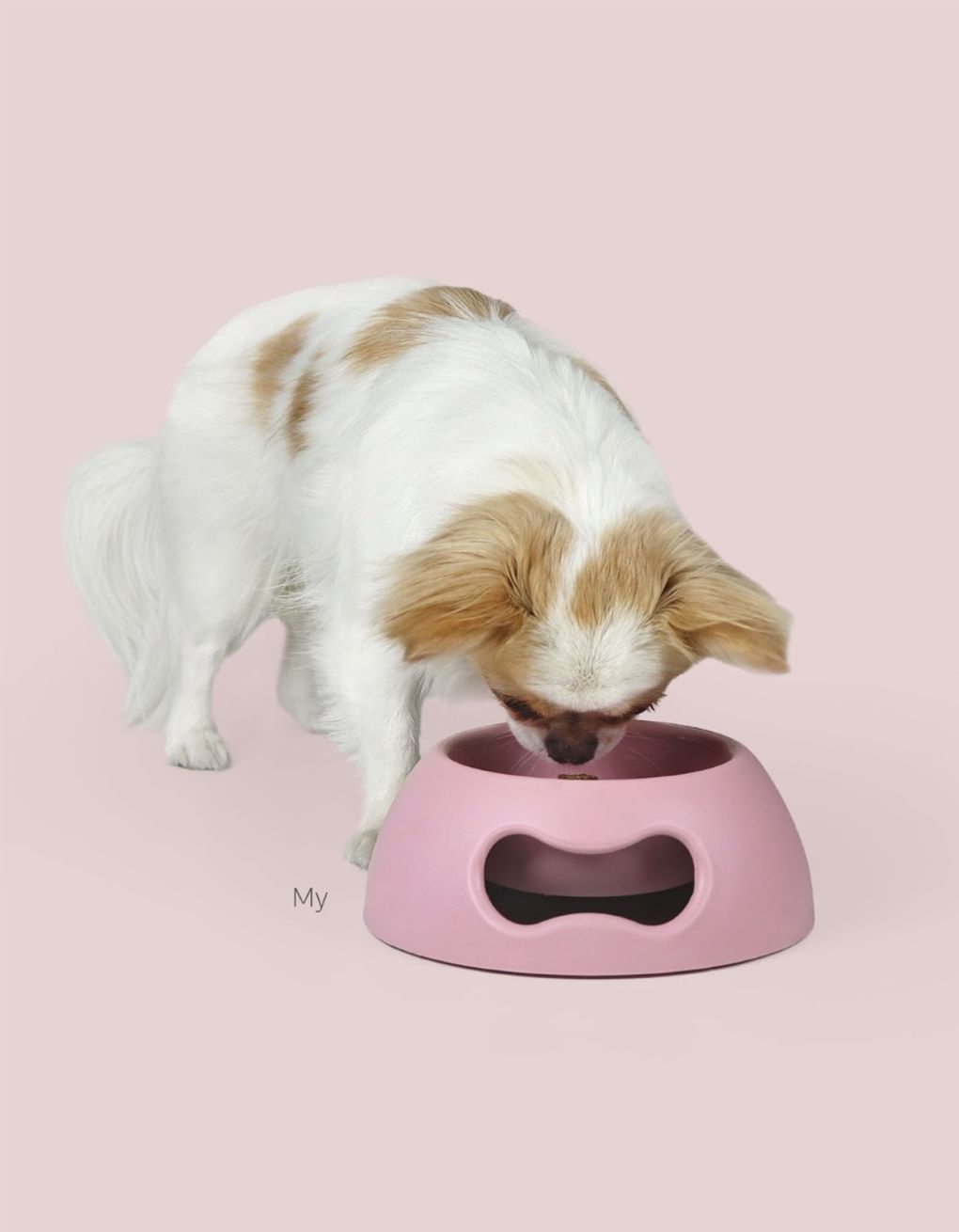 Liten matskål til hund og katt - grønn - Dyrekompaniet