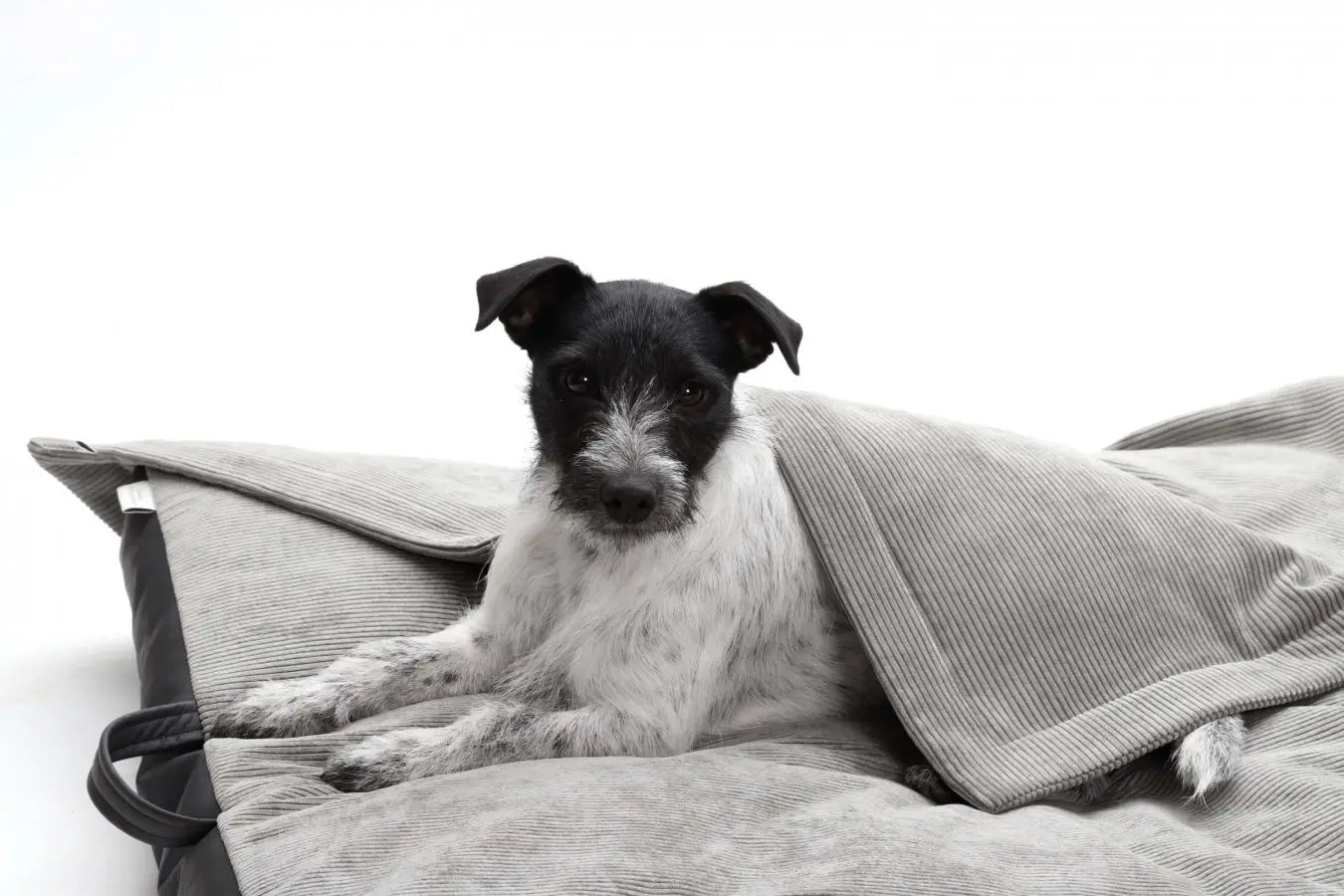 tykk og god madrass til hund - Dyrekompaniet