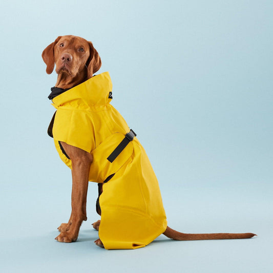 Reflekterende regndekken til hund - gul - Dyrekompaniet
