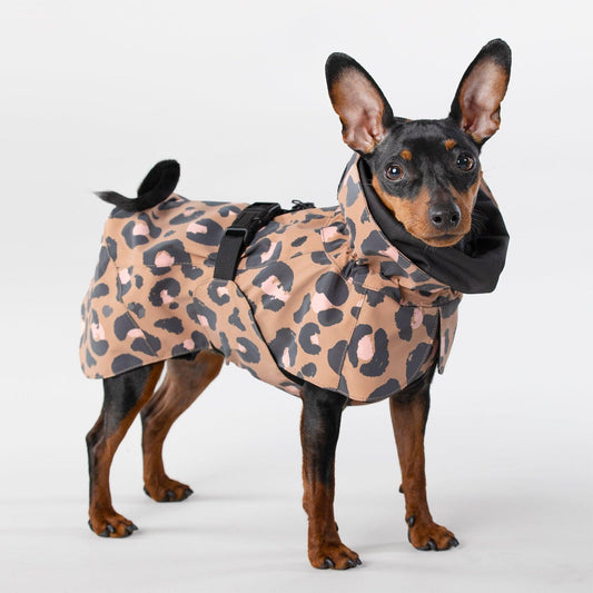 Reflekterende regndekken til hund - leopardmønster - Dyrekompaniet