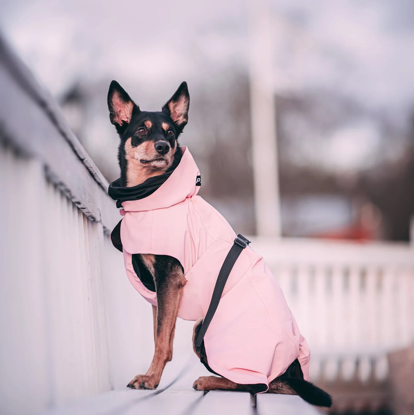 Reflekterende regndekken til hund - rosa - Dyrekompaniet