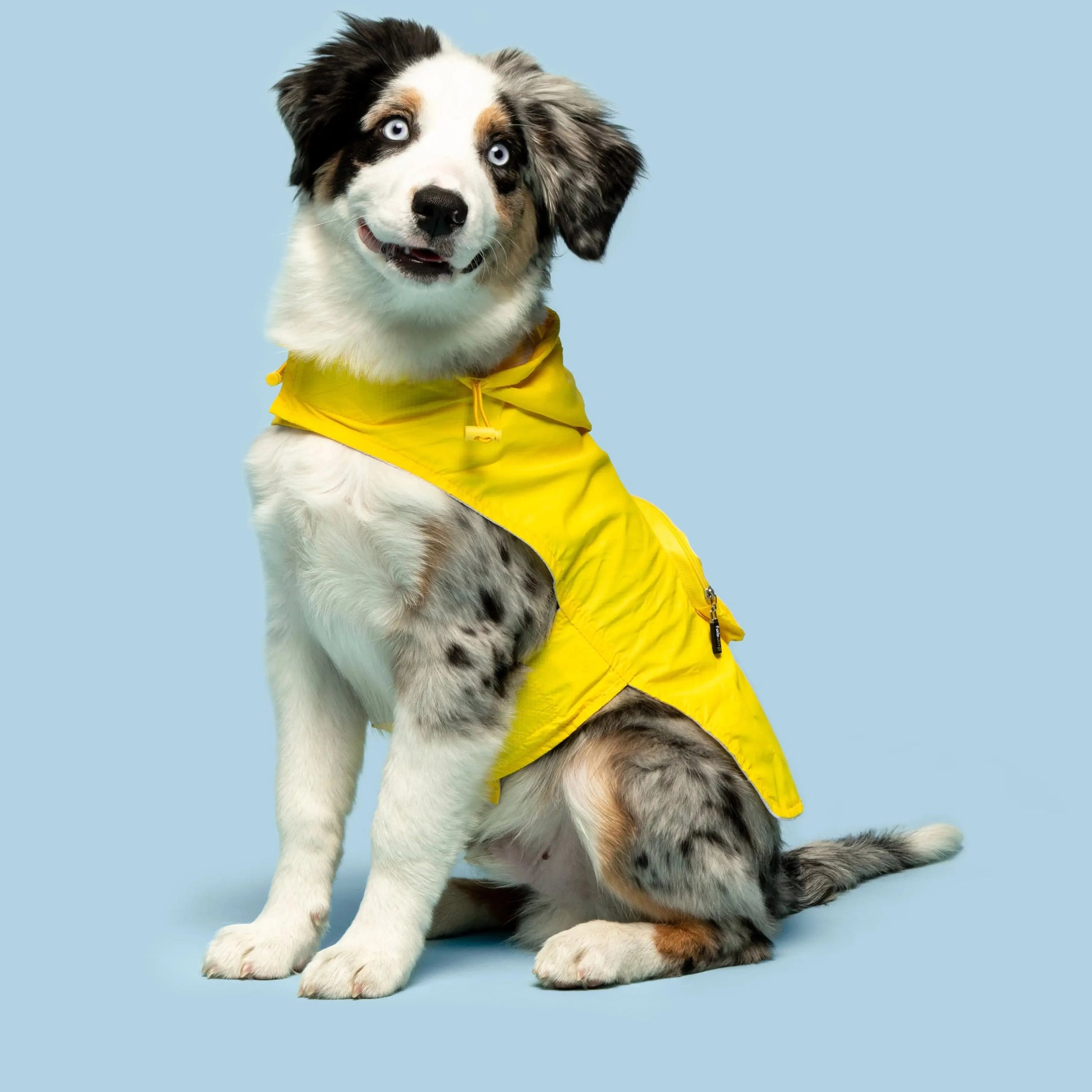gul regnjakke til hund - Dyrekompaniet
