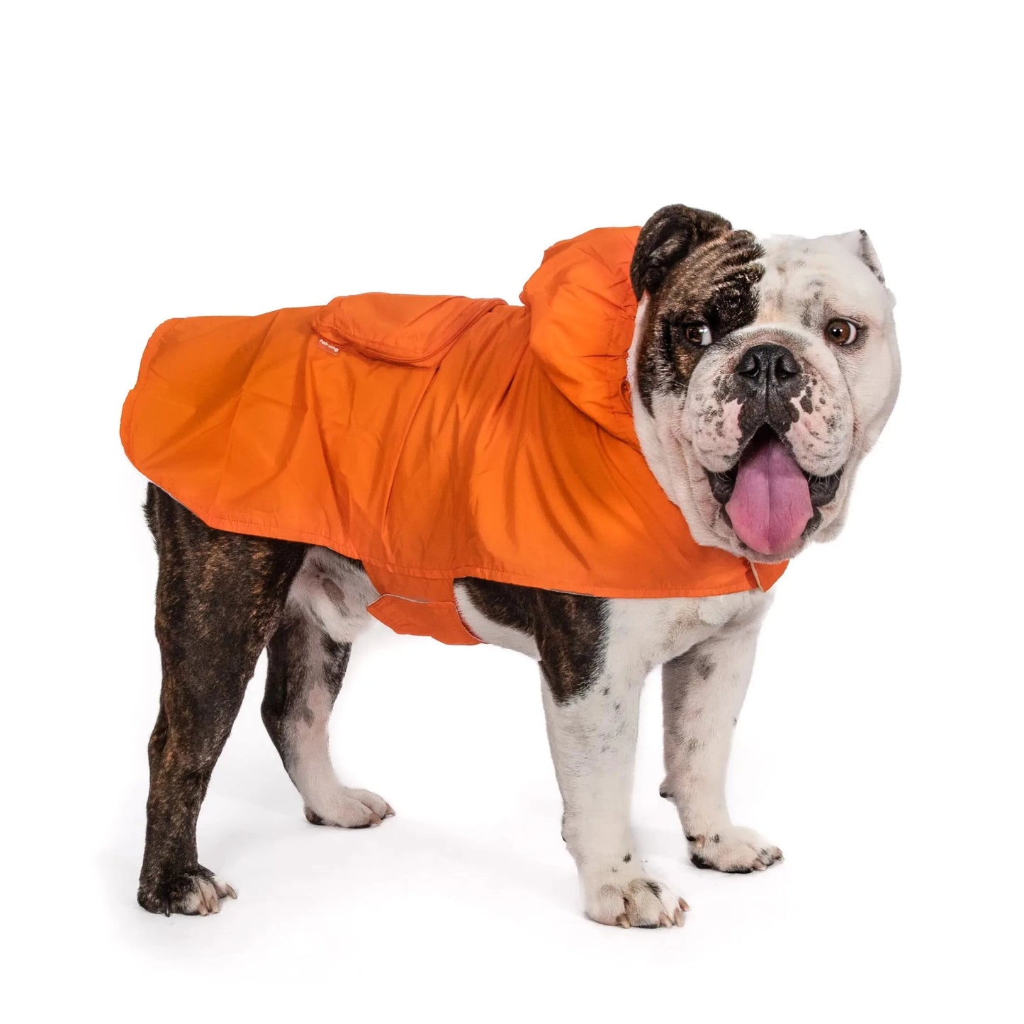 Sammenleggbar lett regnjakke til hund - Dyrekompaniet