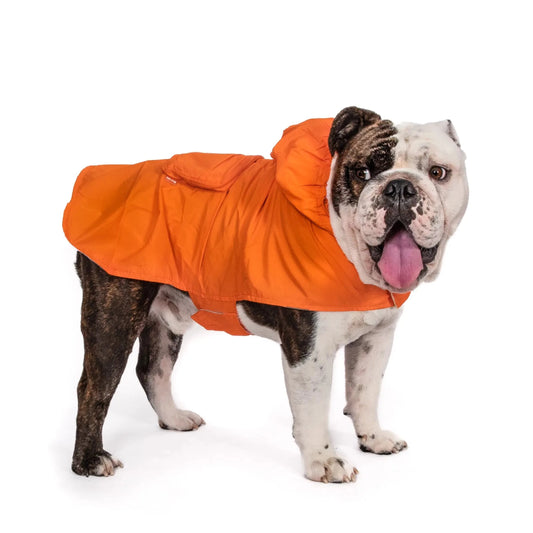 Sammenleggbar lett regnjakke til hund - Dyrekompaniet