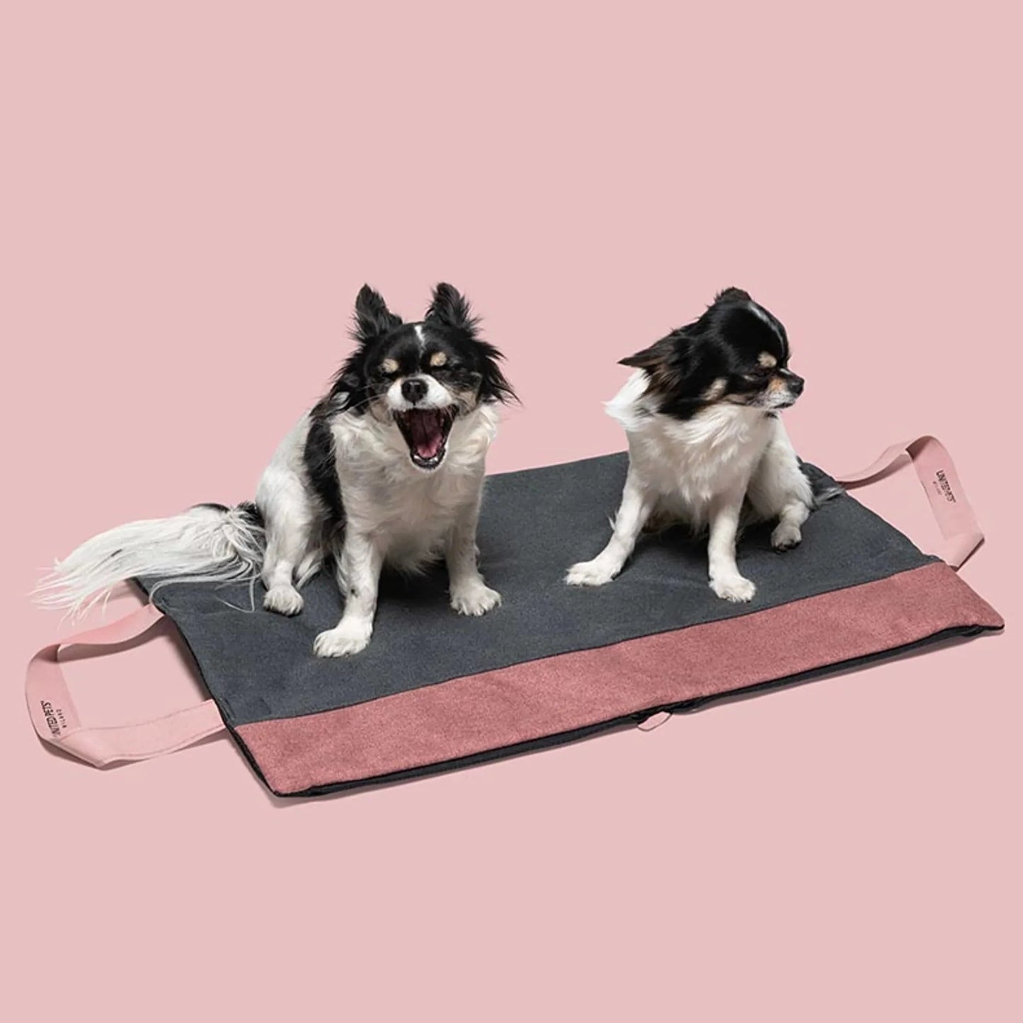 Sammenleggbar reiseseng til hund grå/rosa - Dyrekompaniet